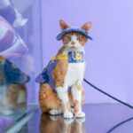 Cowboy Hairless Cat Clothes Hat Sphynx Leash - Image 24