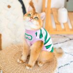Cat Clothes 3 Color Winter Warm Sweater Vest - Image 4