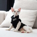 Cat Clothes Sphynx Hairless Cat Hoodie - Image 5