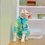 Gradient Sphynx Cat Clothes Warm Hooded Sweater - Image 7