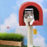 Cute Postbox Cat Climbing Frame Bed All In One Cat Tree - Image 5