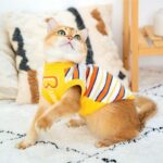 Cat Clothes 3 Color Winter Warm Sweater Vest - Image 16
