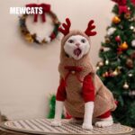 Hairless Cat Clothes Christmas Elk Vest Hoodie