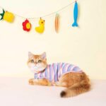 Mrduanju Rainbow Cat Vest Warm Pet Clothes - Image 8