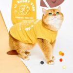 Rugby Star Cat Vest 4 Colors Pet Clothes - Image 7