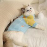 Cat Clothes 2 Style Warm Bear Rabbit Sweater - Image 10