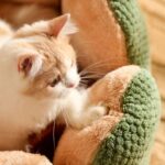 Kennel Flower Cat Bed Nest Washable 3 Color Cushion - Image 9