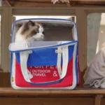 Large Cat Carrier Backpack 4 Color Portable Bag - Image 5
