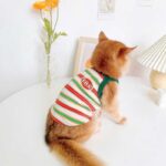 Summer Clashing Cat Vest 3 Color Pet Clothes - Image 10