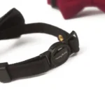 Classic Suit Bow Cat Collar - Image 6