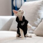 Cat Clothes Sphynx Hairless Cat Hoodie - Image 2