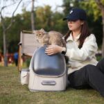 Adventure Backpack Bubble Cat Carrier Bag - Image 6