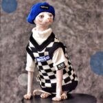 Chic Sphynx Cat Vest Warm Sweatshirt Clothes - Image 2