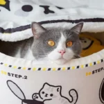 Canned Food Lovely Cat Bed 2 Color Cat Nest - Image 11