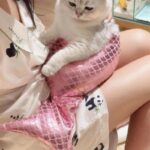 Mermaid Cat Costume Funny Photo Prop Clothes - Image 5