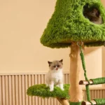 Green Sky Ladder Cloud Climber Cat Tree - Image 9