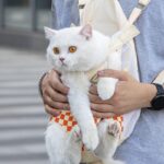 Cat Carrier Front Pack Sling Bag 8 Color Backpack - Image 10