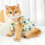 Rustic Cat Pumpkin Pants 2 Color Pet Clothes - Image 11
