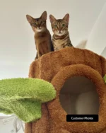 Luxury Cat Tree Looks Like Tree Tall Climbing Frame - Image 17