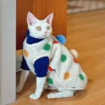 Devon Sphynx Hairless Cat Clothes Vest - Image 10
