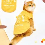Rugby Star Cat Vest 4 Colors Pet Clothes - Image 8