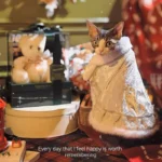 Sphynx Cat Clothes Warm Upscale Couple Cape - Image 5