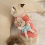 Cat Clothes 2 Style Warm Bear Rabbit Sweater - Image 9