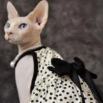 Airy Sphynx Floral Halter Dress Cat Clothes - Image 5