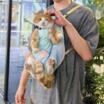 Cat Carrier Front Pack Sling Bag 8 Color Backpack - Image 12