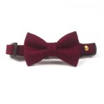 Classic Suit Bow Cat Collar - Image 8