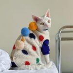Devon Sphynx Hairless Cat Clothes Vest - Image 11