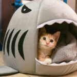 Grey Shark Cat Bed Sponge Pet Cave - Image 6