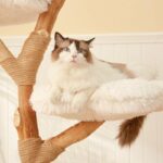 Clouds Deluxe Solid Wood Cat Tree Climbing Frame - Image 8