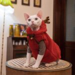 Hairless Cat Clothes Christmas Elk Vest Hoodie - Image 9