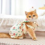Rustic Cat Pumpkin Pants 2 Color Pet Clothes - Image 4