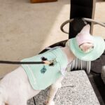 Cowboy Hairless Cat Clothes Hat Sphynx Leash - Image 20