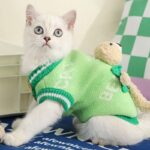 Cat Clothes 2 Style Warm Bear Rabbit Sweater - Image 2