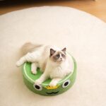 Cute Pig Cat Bed Round Scratching Pad - Image 11