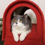 Cute Postbox Cat Climbing Frame Bed All In One Cat Tree - Image 3
