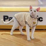 Soft Lambswool Hairless Cat Clothes - Image 3