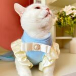 Princess Cute Cat Leash Carrier Harness - Image 3