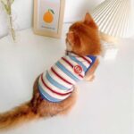 Summer Clashing Cat Vest 3 Color Pet Clothes - Image 8