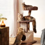 Treehouse Cat Tree for Multiple Cats Climbing Condo - Image 14