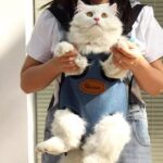 Cat Carrier Front Pack Sling Bag 8 Color Backpack - Image 4