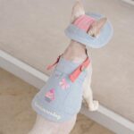 Cowboy Hairless Cat Clothes Hat Sphynx Leash - Image 16