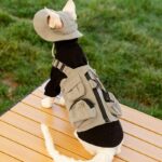 Sphynx Cat Vest 3 Color Devon Hairless Cat Clothes - Image 12