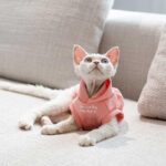 Cat Clothes Sphynx Hairless Cat Hoodie - Image 13
