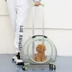 Transparent Cat Trolley With Wheels Rolling Carrier - Image 9