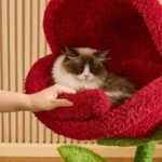 Monster Bloom Cat Tree Climbing Tower - Image 11