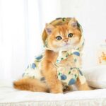 Rustic Cat Pumpkin Pants 2 Color Pet Clothes - Image 10